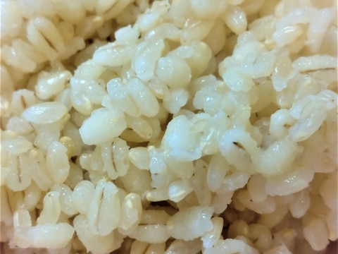 糖質カットの発芽玄米もち麦ご飯　湯取り法で失敗なし